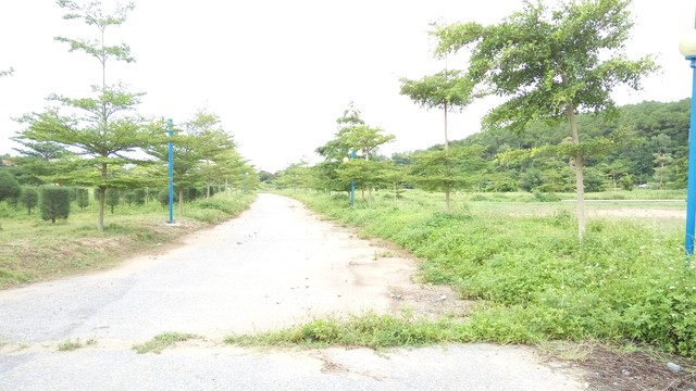 
Một con đường trong dự án Đảo Hoa Phượng
