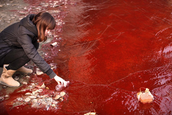 Hình ảnh đáng sợ về những nguồn nước 'chết' ở Trung Quốc