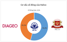 Cổ đông chiến lược của Halico: "Bá chủ" thế giới rượu từ các cuộc thâu tóm