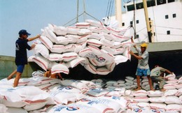 Trung Quốc nhập mạnh gạo Việt Nam