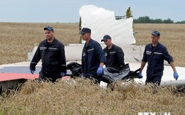 Ngoại trưởng các nước ra tuyên bố chung về vụ máy bay MH17