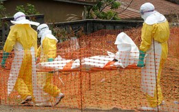 10 người Việt đang trong vùng có dịch Ebola