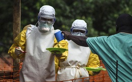 Bác bỏ thông tin có ca nhiễm Ebola ở Việt Nam