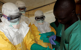Thế giới cần bao nhiêu tiền để dập dịch Ebola?