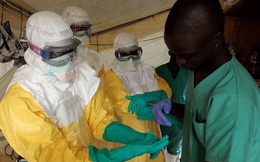 [BizChart] Sự bùng nổ đáng lo ngại của đại dịch Ebola