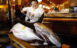 Choáng với cá ngừ “khủng” giá hơn 36 tỷ đồng
