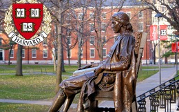 Đại học Harvard 'hoành tráng' như thế nào khi là một công ty?