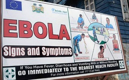 Hà Nội: Xây dựng kế hoạch phòng chống sốt xuất huyết do vi rút Ebola 